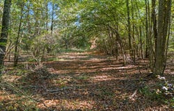County Road 3324, 24 Ac, Pittsburg, TX 75686