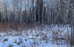 Lt45 Big Cub Trl, Laona, WI 54541