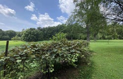 208 MOCKING BIRD LN, TROY, VA 22974