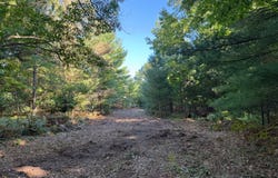 Par 1 & 5 Clements Road, Kaleva, MI 49645