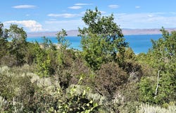 193 HICKOCK Dr, Fish Haven, ID 83287