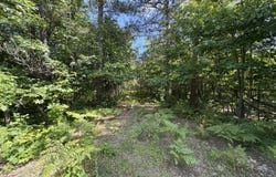 S Deer Run Rd, Kinross, MI 49752