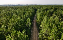 Highway 63, Leakesville, MS 39451