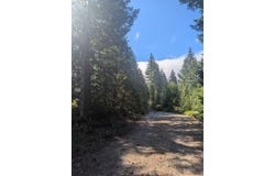 30 Nymark Dr, Cougar, WA 98616