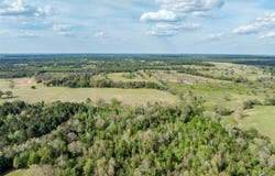 White Tail Road, Gilmer, TX 75644