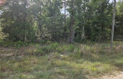 Tbd NE 153RD AVENUE, WILLISTON, FL 32696