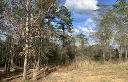 Highway 80 E, Brooklet, GA 30415