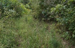 STATE ROUTE 34, Hurricane, WV 25526