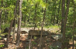 TBD SE 1055th Ave, Talihina, OK 74571