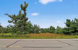 County Road 612, Lewiston, MI 49756