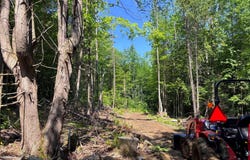 139 Wildlife Lane, New Sharon, ME 04955