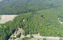 13956 Doyle Beams Road, Cottondale, AL 35453