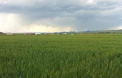 NHN Luppold Road, White Sulphur Springs, MT 59645