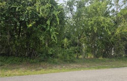 1567 E Cleveland Street, Hernando, FL 34442