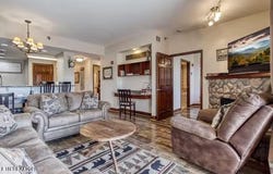 410 Big Bear Way, Pigeon Forge, TN 37863