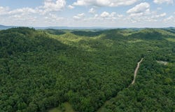 Tbd Ryan Rd, Oden, AR 71961