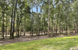 8105 Hepzibah Rd, Clinton, LA 70722