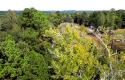 307 Cherokee Drive, Trinity, TX 75862
