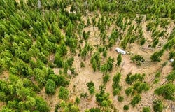 Goldendale, WA 98620