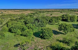 Carpenter, Nocona, TX 76255