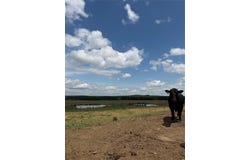 McCurtain, OK 74944