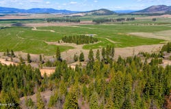 Lone Moose Dr lot: 10, Plummer, ID 83851