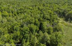 Buck Road, Stone Ridge, NY 12484