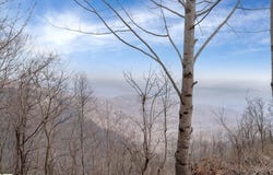 99 The Cliffs Parkway, Landrum, SC 29356