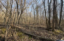 County Rd 91, Bryant, AL 35958
