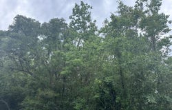7904 Edgewater Boulevard, Ocean Springs, MS 39564