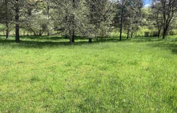 Cashway Road Lot 2, Kamiah, ID 83536