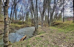 250 S Meadow Ln, Hayfork, CA 96041