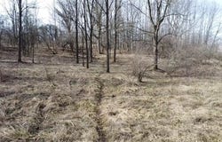 8453 S Durand Road, Durand, MI 48429