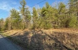 Bear Hollow Rd, Oneida, TN 37841