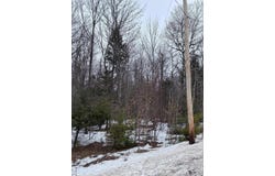 Pup Hill Road, Saranac, NY 12981