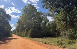 004 Five Bridges Road, Blakely, GA 39823