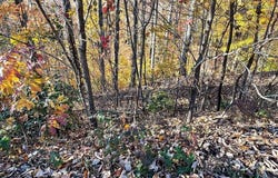 Ridges lot: 37M, Hayesville, NC 28904