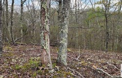 id40 Greenbriar Ct, HOLLADAY, TN 38341