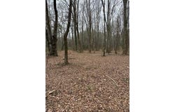 Center Road, Cartersville, GA 30121