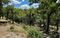 Chism Trail, Gordon, TX 76453