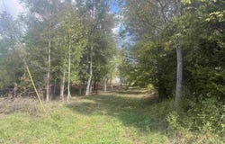 Johnson Avenue, Bridgeport, WV 26330