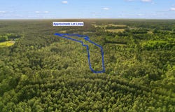 Mount Olive Rd., Loris, SC 29569