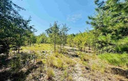 Newman Lane, Jefferson, SC 29718