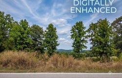 Black Forest Lane lot: 175, Branson West, MO 65737