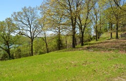 311 Cliffside Drive, Galena, MO 65656