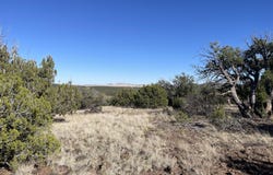 12 County Road, Concho, AZ 85924