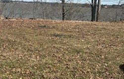 County Rd 531 lot: 2, Centre, AL 35960