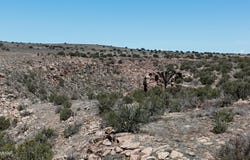 N Mountain Highlands Boulevard, Snowflake, AZ 85937