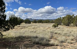 Honey Bee Lane, Seligman, AZ 86337