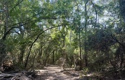 Robert Bateman Road, Franklinton, LA 70438
